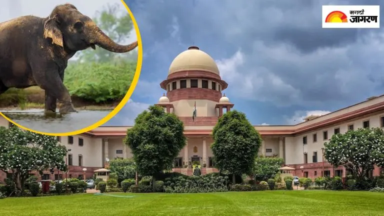mahadevi-elephant-case-review-petition-will-be-filed-in-the-supreme-court-today-for-possession-of-nandani-math