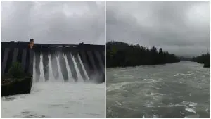 Koyna Dam: कोयना धरण फूल! 54 हजार क्युसेक पाणी सोडणार, नदीकाठच्या गावांना सतर्कतेचा इशारा