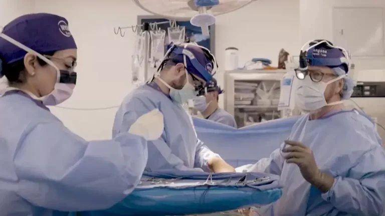 china-doctors-transplanted-pig-lungs-into-humans-then-what-happened-shocked-scientists