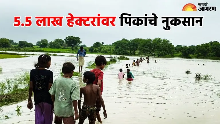 maharashtra-news-lakh-hectares-of-kharif-crops-under-water-in-maharashtra