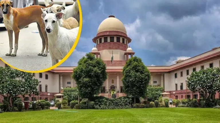 supreme-court-orders-delhi-to-move-all-stray-dogs-to-shelters-within-8-weeks-warns-of-fir-against-obstruction