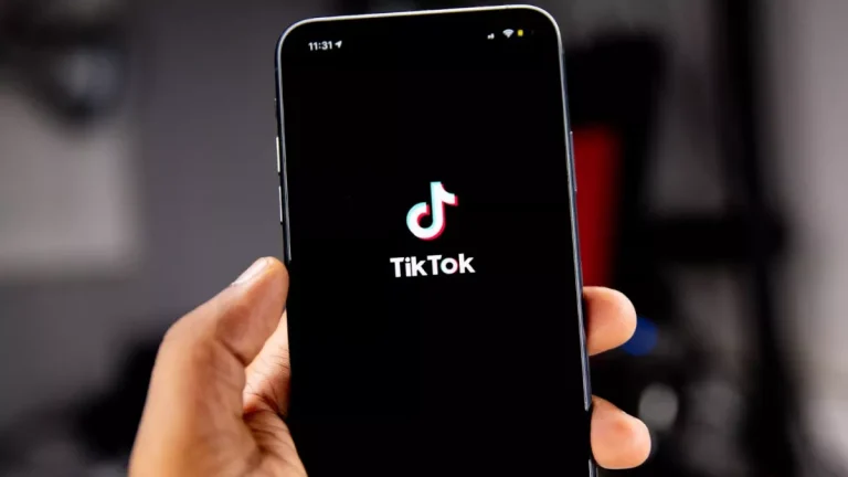 indian-government-confirms-tiktok-ban-remains-in-place-and-no-unblock-order-has-been-issued