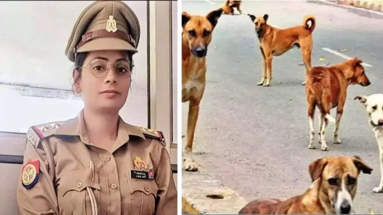 tragic-accident-woman-sub-inspector-dies-after-scooter-hits-stray-dog-in-ghaziabad