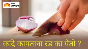 कांदा कापताना आपण का रडतो? जाणून घ्या यामागील वैज्ञानिक कारण