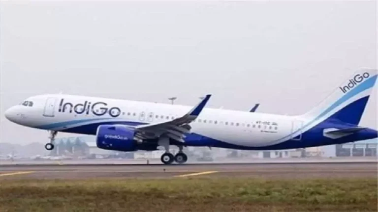 indigo-flight-landing-in-nagpur-a-plane-carrying-165-passengers-hit-a-bird