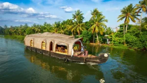 निसर्गाच्या कुशीत वसलेली आहेत ही 5 सुंदर ठिकाणे, तुम्ही केरळला भेट देण्याचा विचार करत असाल तर या ठिकाणांना नक्की भेट द्या