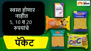 कुरकुरे ते बिस्किटे.. कमी होणार नाहीत छोट्या पॅकेटमधील वस्तूंचे दर, मात्र कंपन्या वेगळ्या पद्धतीने देणार GST Rate Cut चे ग्राहकांना लाभ