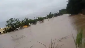 Marathwada Rains: मराठवाड्यात पावसामुळे 104 जणांचा बळी! नांदेडमध्ये सर्वाधिक मृत्यू, वाचा सविस्तर अहवाल