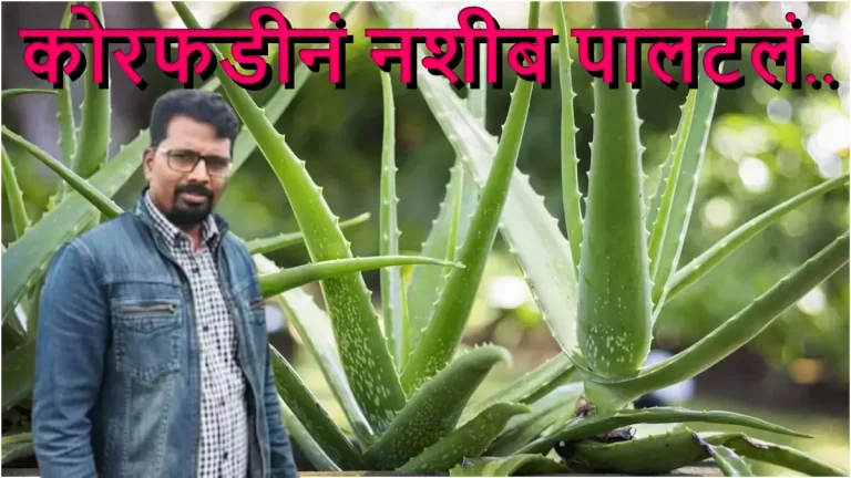 success-story-farmer-hrushikesh-dhane-became-rich-by-cultivating-aloe-vera-annual-turnover-reached