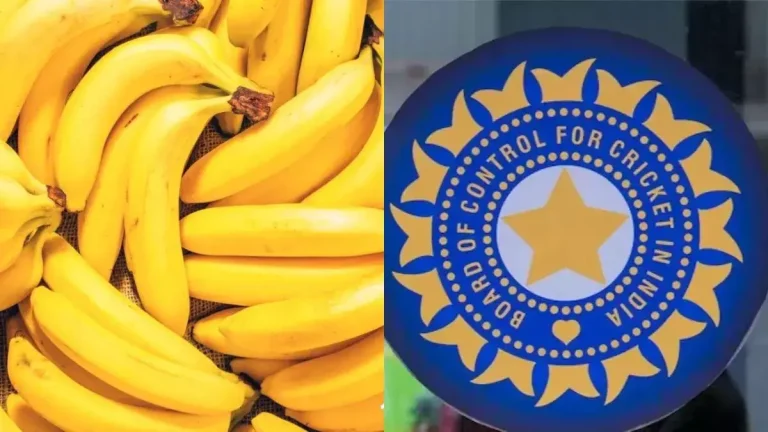uttarakhand-cricket-association-scam-high-court-issues-notice-to-bcci