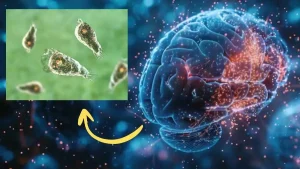 Epilepsy च्या रुग्णांसाठी मोठा दिलासा! जर औषधोपचार असतील अप्रभावी तर VNS थेरपी करेल आश्चर्यकारकपणे काम 