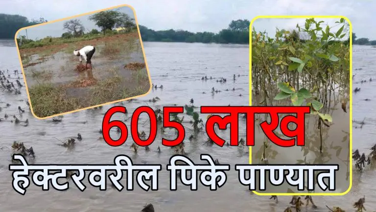 maharashtra-news-natural-calamities-damage-crops-on-605-lakh-hectares-in-9-yrs-rs-54600-cr-relief-paid