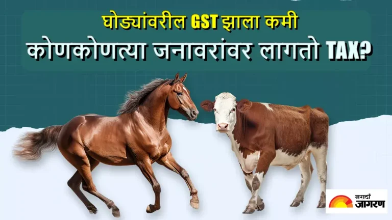 gst-on-live-horses-reduced-from-12-to-5-percent-is-tax-also-levied-on-cows-buffaloes-and-goats