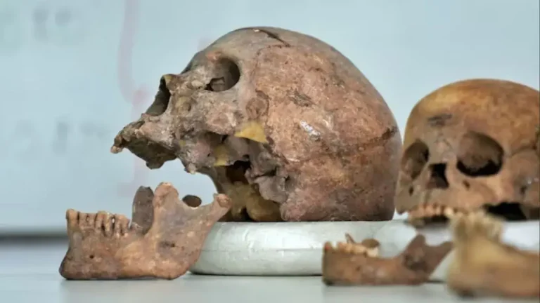 karnataka-dharmasthala-case-sit-finds-skulls-investigation-ongoing