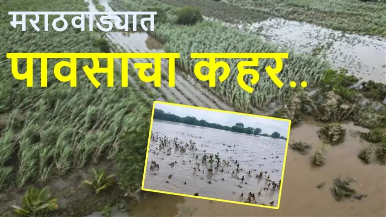 maharashtra-news-86-dead-in-rain-related-incidents-in-marathwada-region-during-monsoon