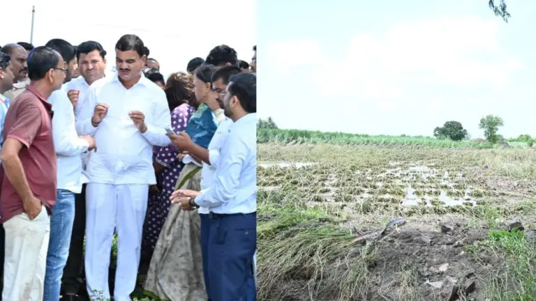 maharashtra-rains-compensation-will-be-given-before-diwali-says-agriculture-minister-datta-bharane