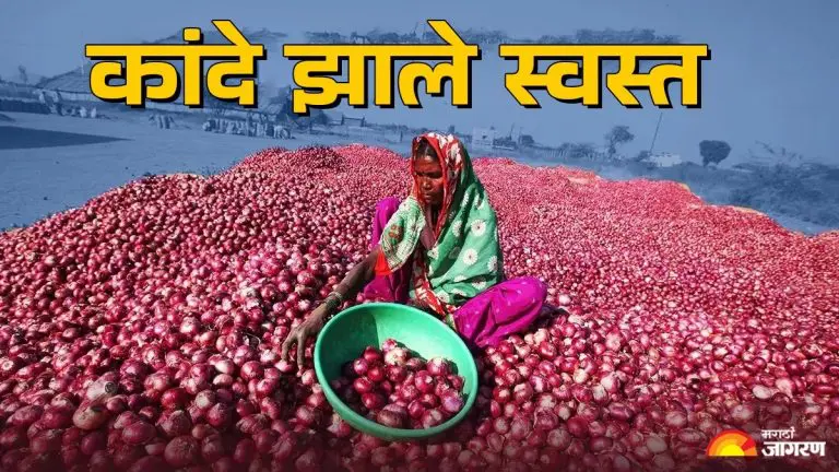 onion-price-onions-have-become-cheaper-know-the-onion-prices-in-your-city