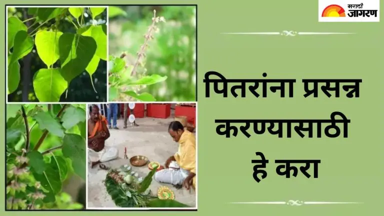 pitru-paksha-2025-worship-this-tree-during-pitru-paksha