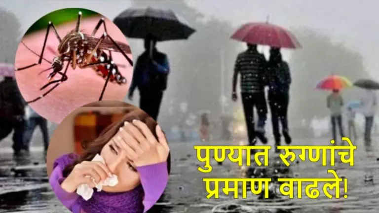 pune-news-outbreak-of-diseases-in-pune-number-of-patients-increased-by-30-percent