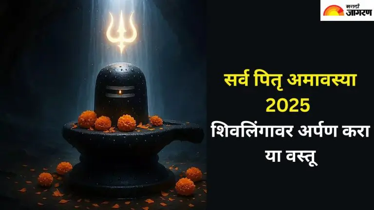 offer-these-items-to-shivalinga-on-the-day-of-pitra-amavasya