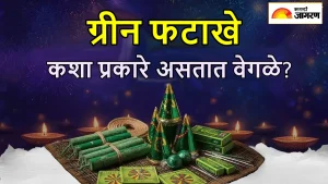 Green Crackers Delhi : दिल्ली-NCR मध्ये ग्रीन फटाक्यांना परवानगी, पारंपरिक फटाक्यांहून कशा प्रकारे असतात भिन्न? 