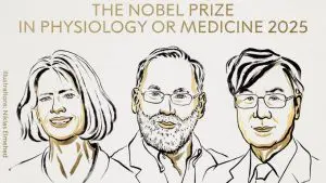 Nobel Prize 2025: या वर्षीचा वैद्यकशास्त्रातील नोबेल पुरस्कार तिघांना जाहीर, कोणत्या शोधासाठी झाले सन्मानित? वाचा सविस्तर