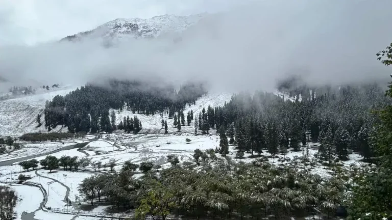 jammu-and-kashmir-srinagar-fresh-snowfall-in-kashmir-travel-disrupted-temperatures-plummet-check-photos-and-video-of-snowfall