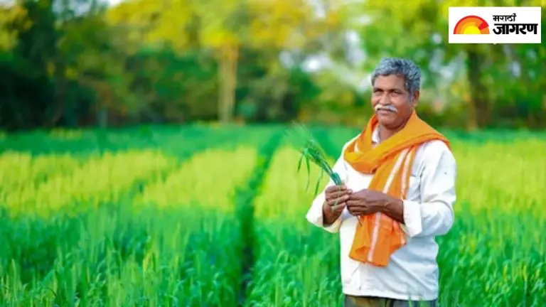 pm-kisan-yojana-agriculture-minister-announces-government-approves-purchase-of-soybean-moong-direct-benefits-to-farmers