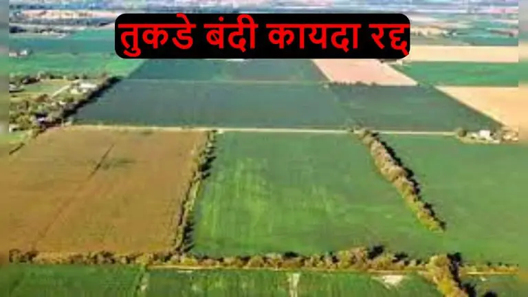 maharashtra-news-tukde-bandi-kayda-has-been-repealed-what-will-be-impact-of-new-amended-law-read-in-detail