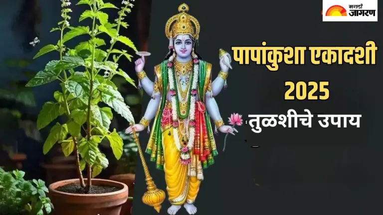 papankusha-ekadashi-2025-remember-the-remedies-related-to-tulsi-on-papankusha-ekadashi