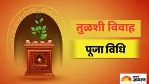  Tulsi Vivah 2025: तुळशी विवाह कधी आहे? जाणून घ्या पूजा करण्याची तारीख, पद्धत आणि धार्मिक महत्त्व 