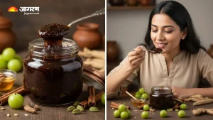 Homemade Chyawanprash: देशी च्यवनप्राश हिवाळ्यात वारंवार होणारे आजार टाळेल घरगुती, जाणून घ्या सोपी रेसिपी