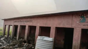 Bihar Election 2025: 'या' दोन गावातील लोक 16 वर्षांनंतर करतील मतदान, संपेल जंगल ओलांडण्याची सक्ती