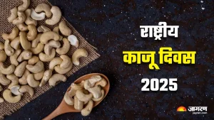 National Cashew Day: दरवर्षी 23 नोव्हेंबर रोजी साजरा केला जातो राष्ट्रीय काजू दिन, जाणून घ्या त्याचा इतिहास