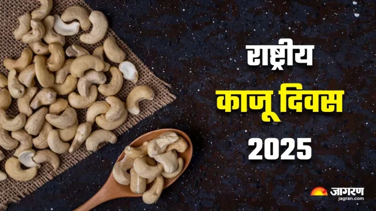 national-cashew-day-know-the-history-of-why-cashew-day-is-celebrated