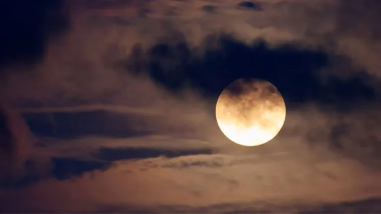 november-skygazing-events-these-10-rare-celestial-events-will-be-visible-in-the-sky-in-november-do-not-miss-a-single-date