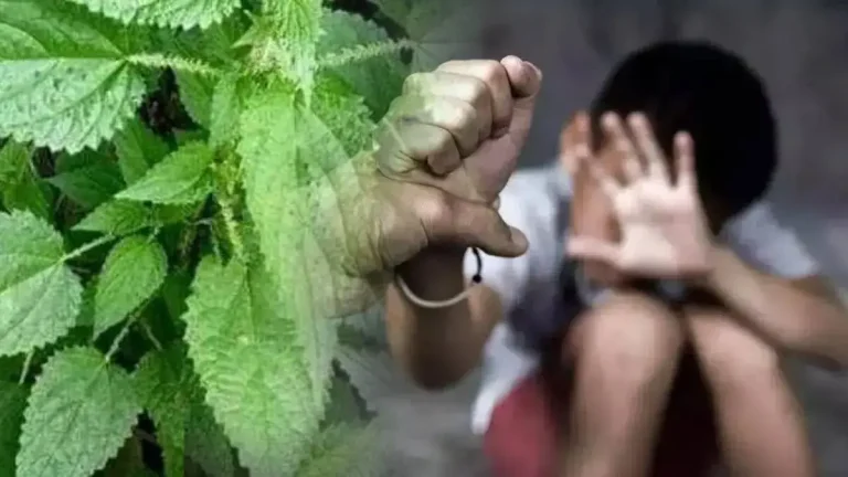 shimla-school-teachers-accused-of-assaulting-dalit-student-allegations-of-scorpion-inserted-in-pants