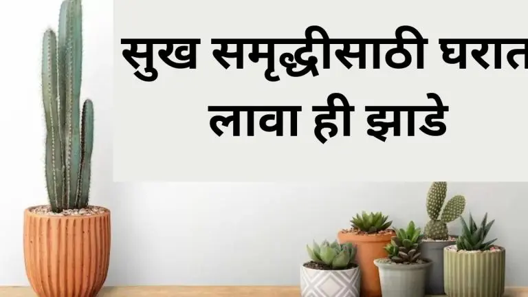 plants-vastu-tips-plant-these-plants-in-the-house-according-to-vastu-shastra