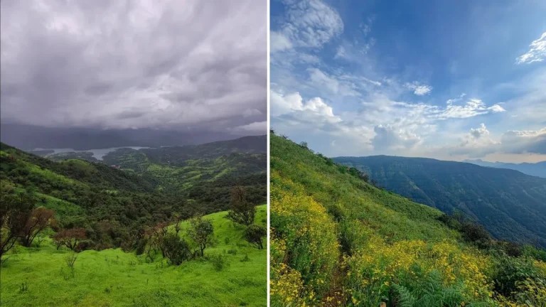 visit-mahabaleshwar-in-winter-it-is-so-beautiful-that-you-wont-even-want-to-come-back