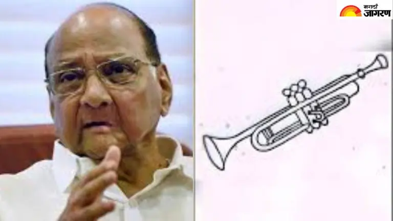 election-commission-permanently-cancels-pipani-symbol