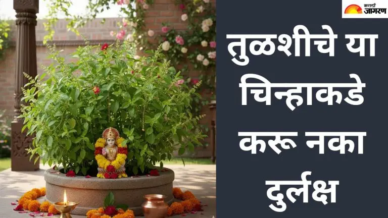 this-symbol-of-tulsi-indicates-a-change-in-life