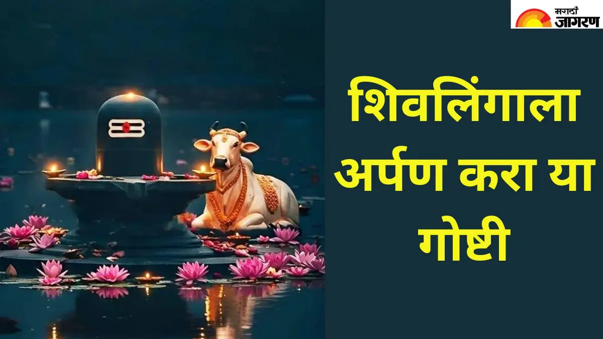 Paush Putrada Ekadashi 2025: पौष पुत्रदा एकादशीला शिवलिंगाला अर्पण करा या गोष्टी, मिळेल विष्णूचा आशीर्वाद