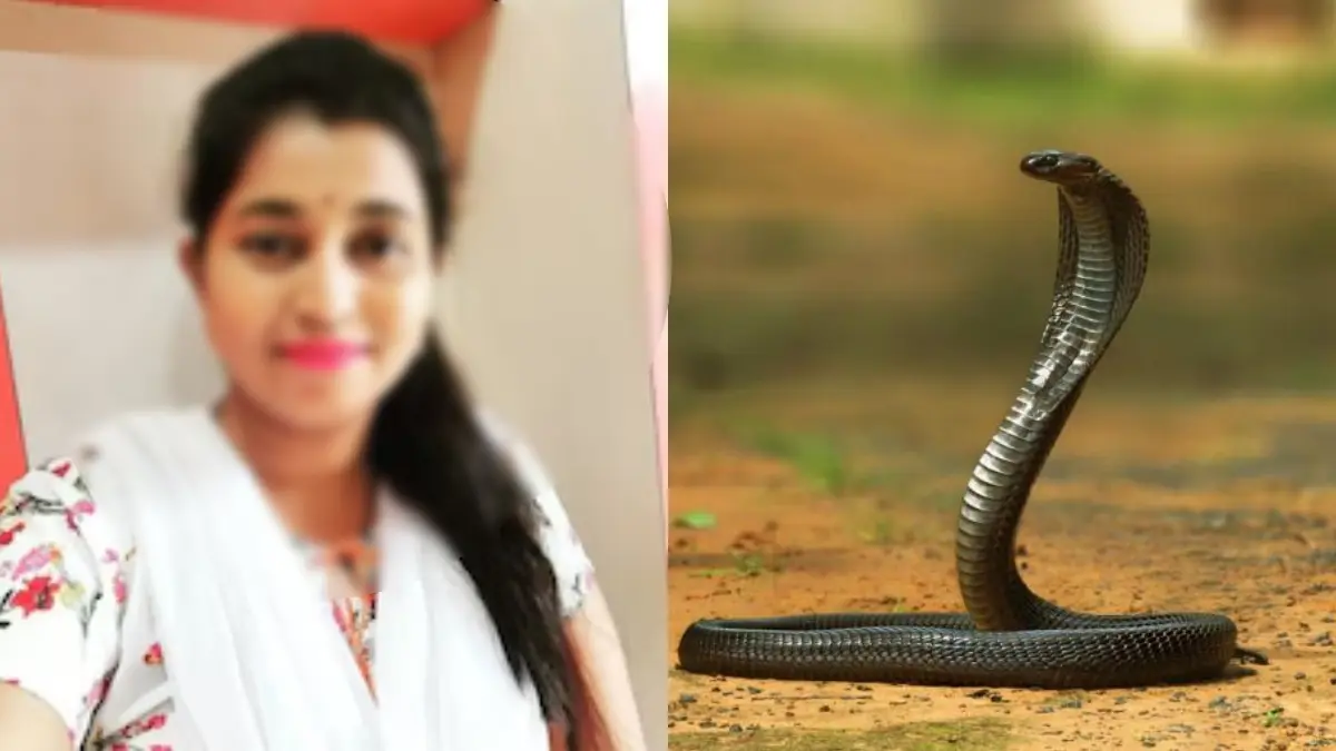 अखेर भिंग फुटले; पतीनेच विषारी सापाचा दंश देऊन पत्नीची केली निर्घृण हत्या