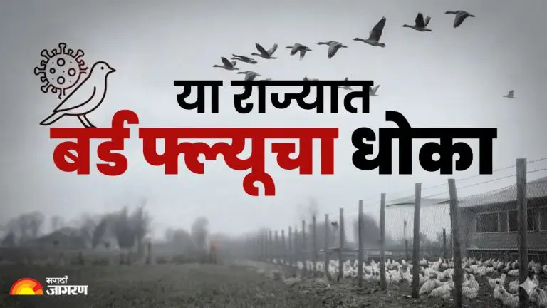 bird-flu-cases-detected-in-alappuzha-and-kottayam-in-kerala