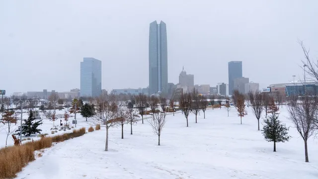 अमेरिकेत तीव्र हिमवादळामुळे जनजीवन विस्कळीत, अनेक राज्यांमध्ये आणीबाणीची परिस्थिती; 13 हजार हून अधिक उड्डाणे रद्द