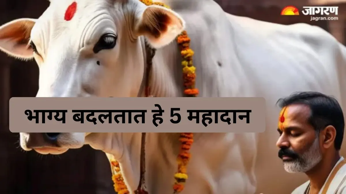 हे 5 'महान दान' बदलतील तुमचे भाग्य, तुम्हाला मिळेल जीवनातील प्रत्येक संकटातून मुक्तता