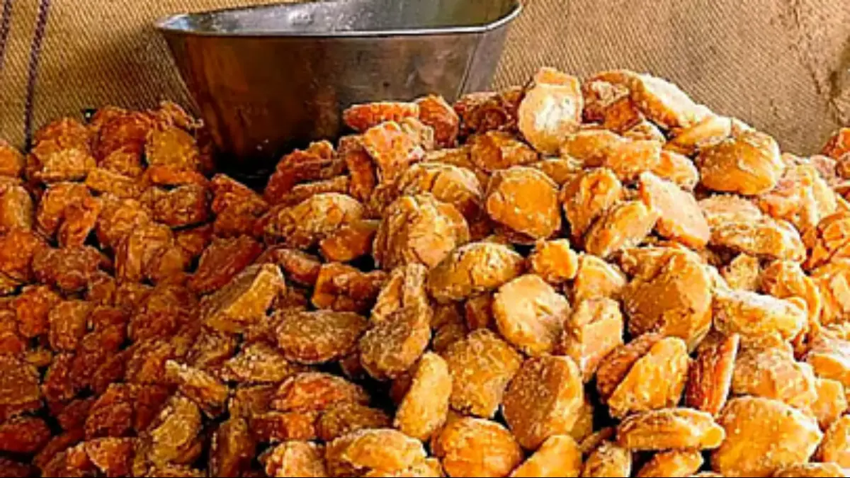 Kolhapur Jaggery: कोल्हापुरात नैसर्गिक गुळ उत्पादकांचा एल्गार; नैसर्गिक उत्पादन बंद करण्याचा निर्णय