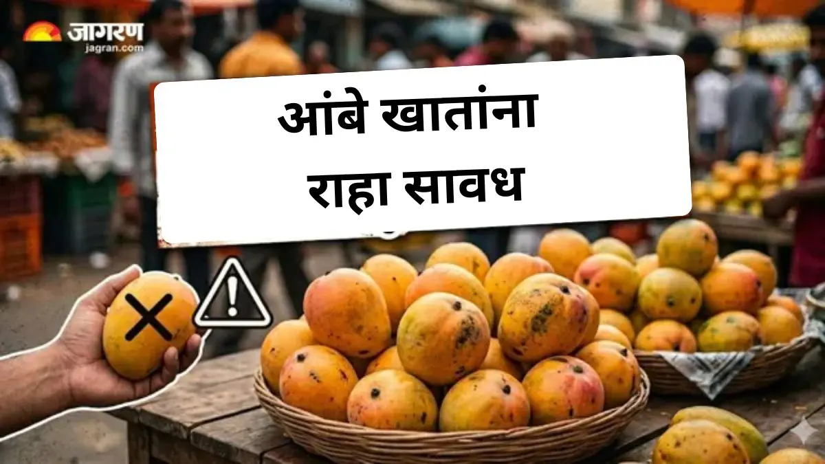 तुम्ही सुद्धा रसायनांनी पिकवलेले आंबे खात आहात का? जाणून घ्या नैसर्गिक प्रक्रियेने पिकवलेले आंबे कसे ओळखायचे