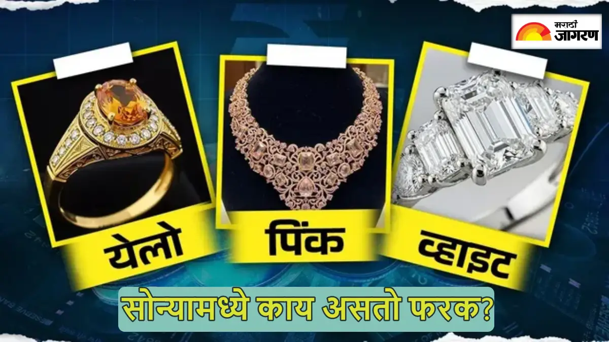Akshaya Tritiya 2026: गुलाबी, पांढरे आणि पिवळ्या सोन्यात काय असतो फरक, कोणते असते महाग; तुमच्यासाठी कोणते सर्वोत्तम?