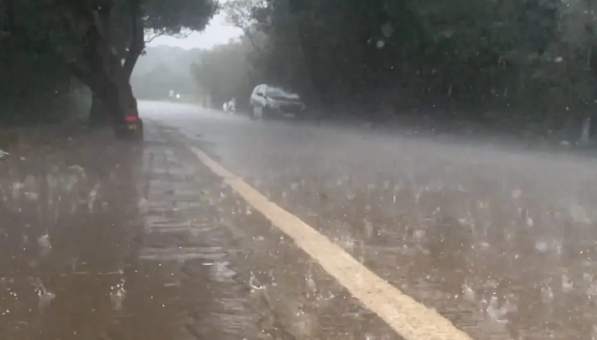 Maharashtra Weather: राज्यातील 12 जिल्ह्यांना यलो अलर्ट; पावसाची शक्यता, नागरिकांना सतर्कतेचे आवाहन